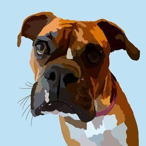 Meet your Posher, Julie